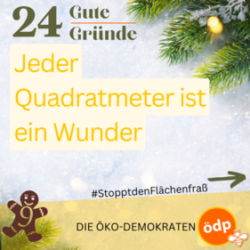 Jeder Quadratmeter ist ein Wunder